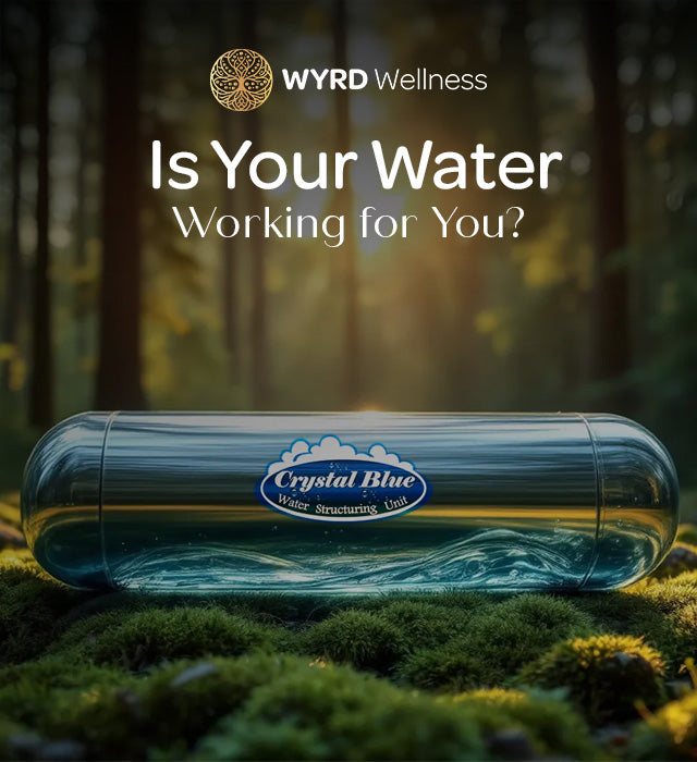 SU-1 Shower/Undersink Unit