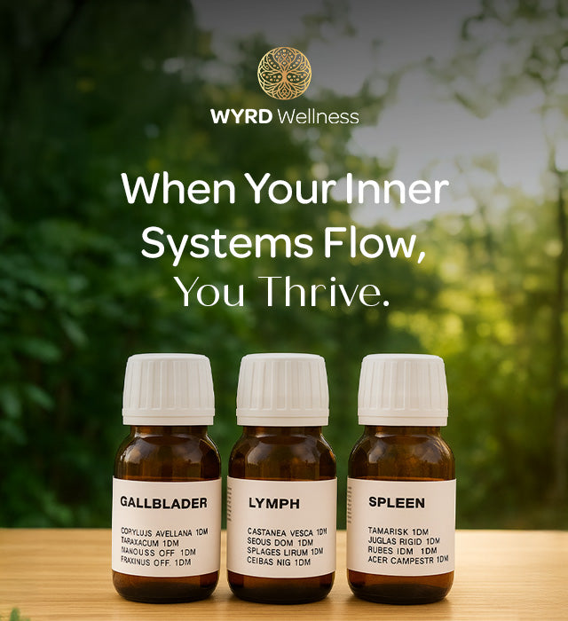 Spleen Gemmo Organic Support