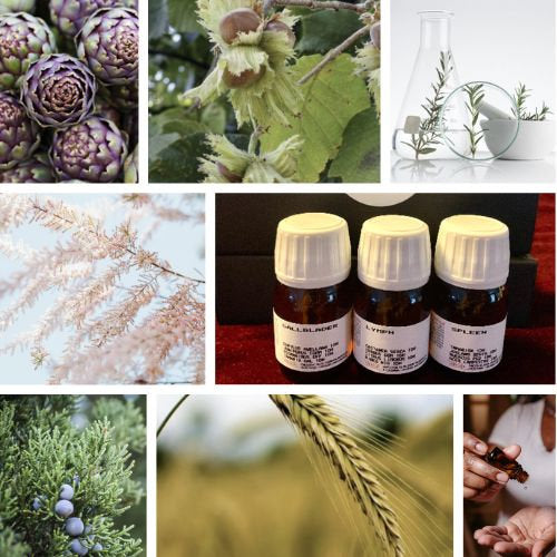plants for gallbladder gemmotherapy bottles