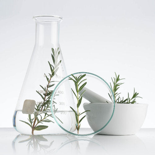  gallbladder gemmotherapy ingredients