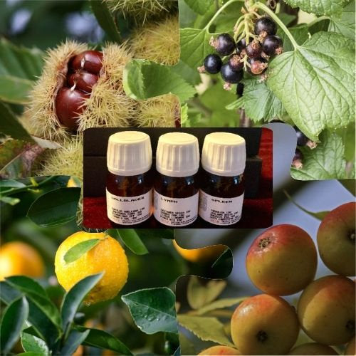 Lymph Gemmo Lymphatic drainage and toxin removal bottles