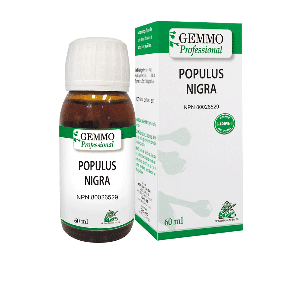 Populus Nigra 60 ml Organic | Gemmo Professional