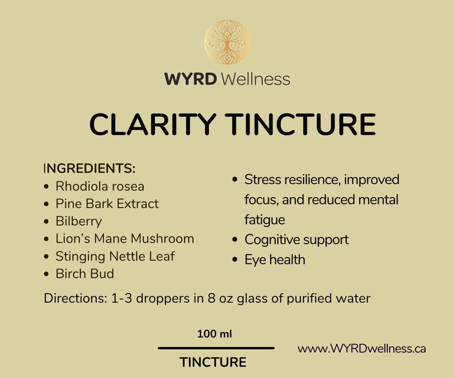 Focus+ Memory Bundle