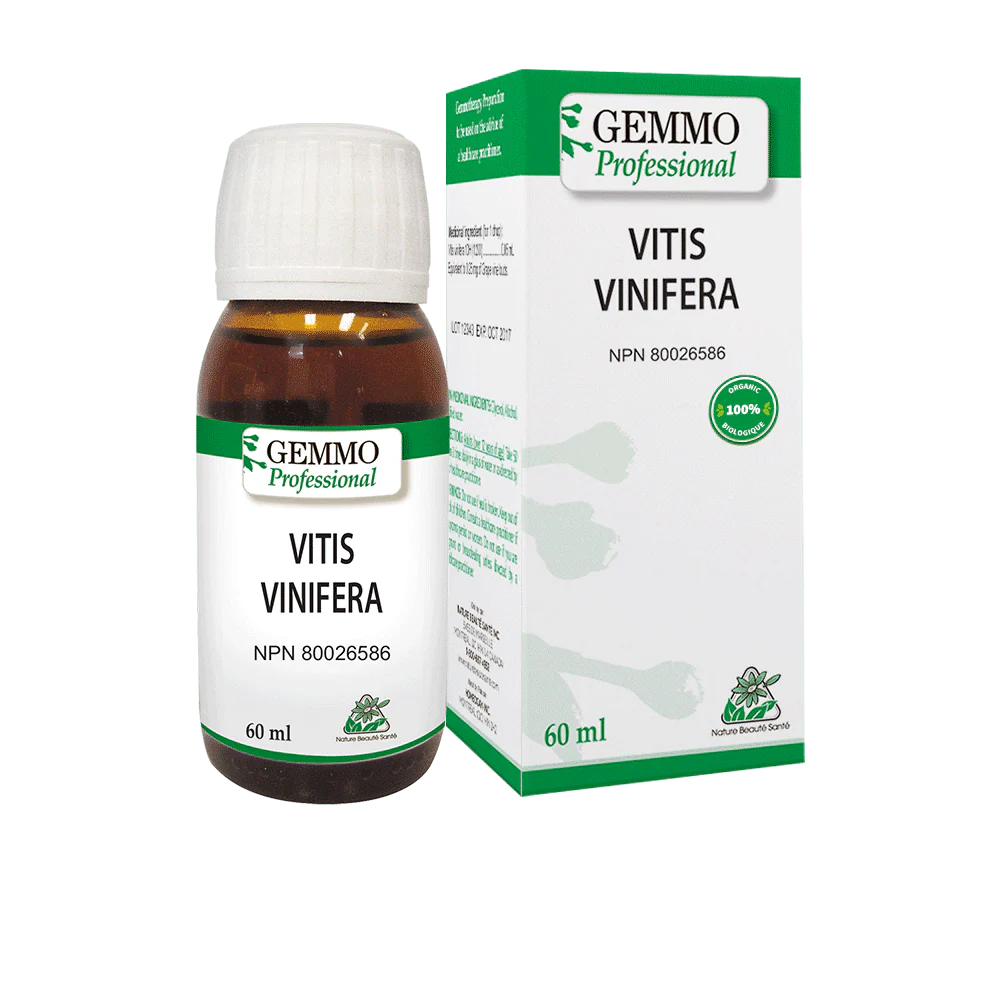 Vitis Vinifera 60 ml Organic | Gemmo Professional