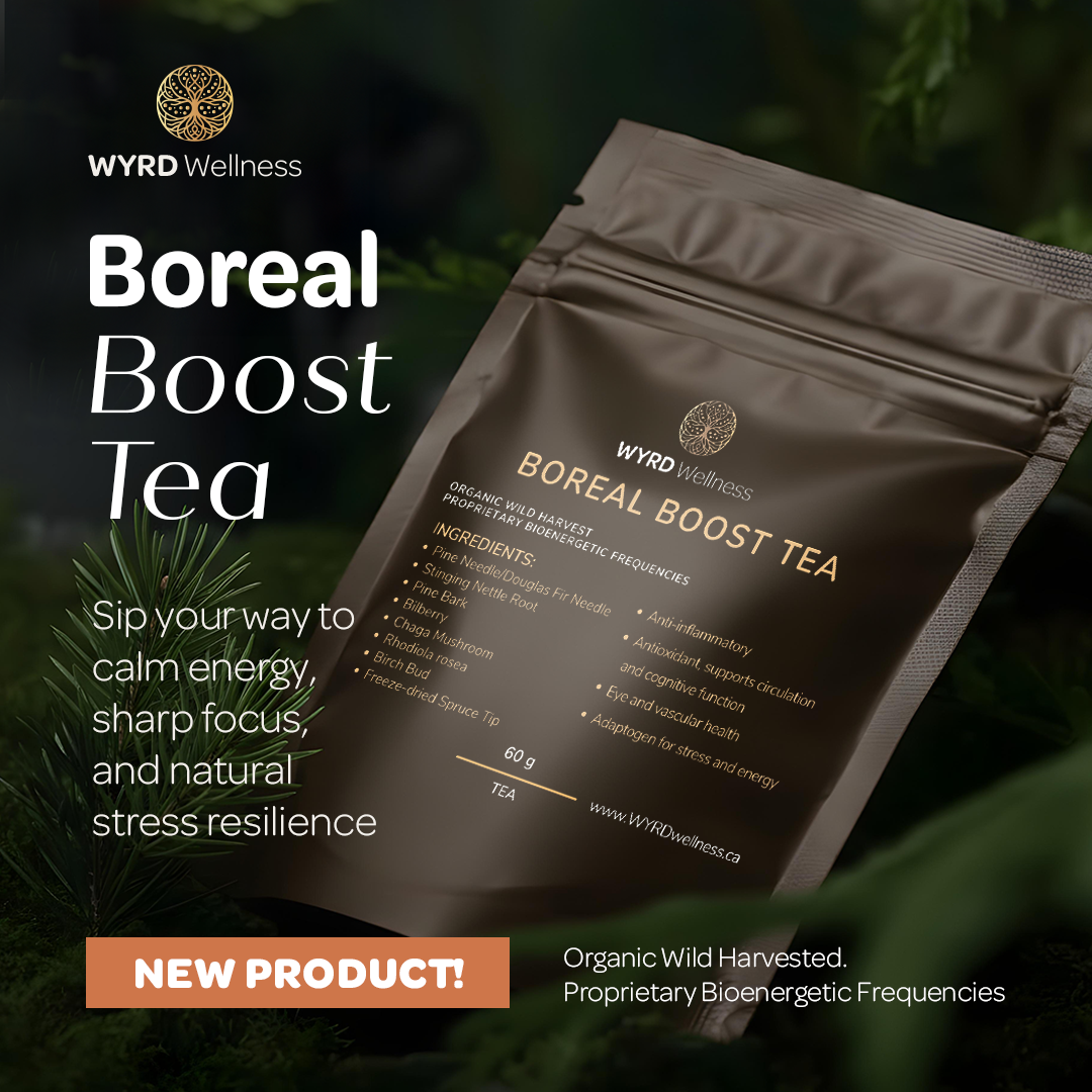 Boreal Boost Tea